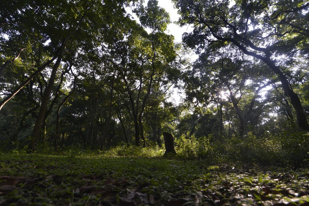 Gokarna Forest Resort Katmandou Extérieur photo