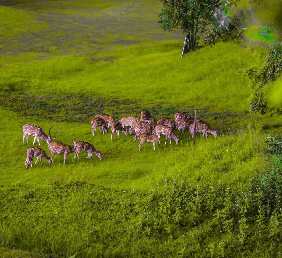Gokarna Forest Resort Katmandou Extérieur photo